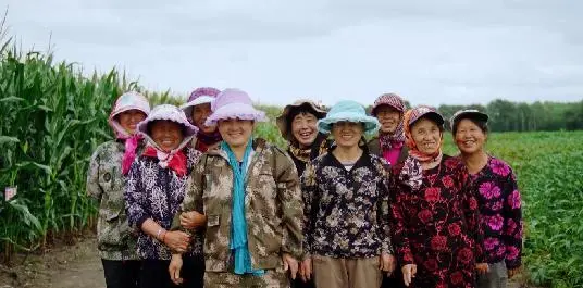 一个乡村振兴的特色样本：打造县域共同富裕新模式