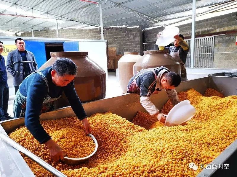 致富养殖视频_湖北养殖致富故事_养殖视频致富经