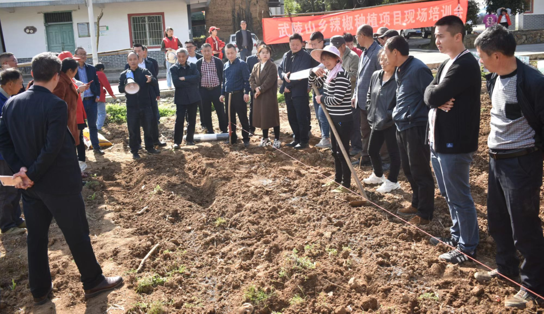 致富经重庆收购腊肉_收购腊肉视频_重庆收腊肉多少钱一斤