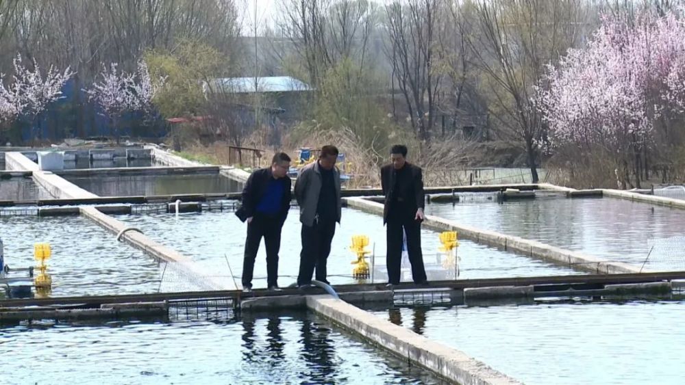 水产养殖业致富项目_水产养殖致富经_致富水产养殖公司
