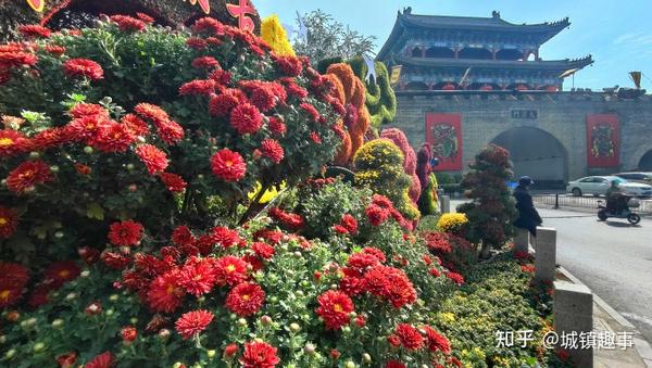 “小菊花”做成了“大产业”
