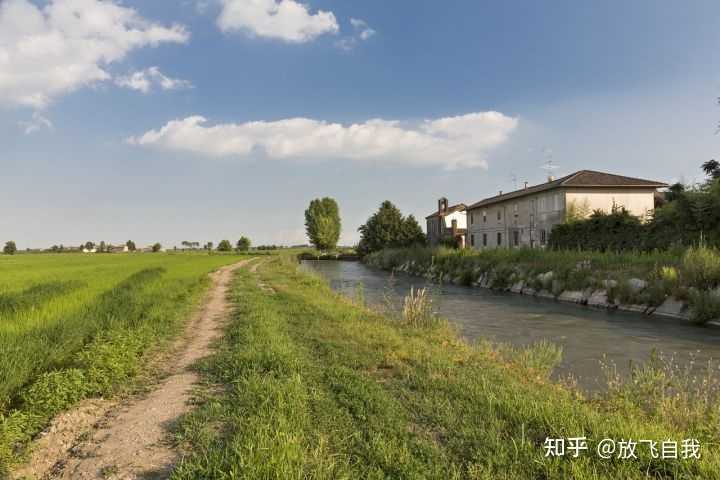 致富种地种植项目介绍_种地种植致富项目_种植致富新项目