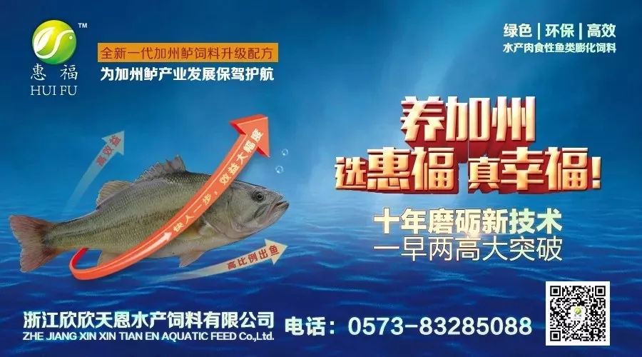 草鱼养殖至富人_致富养殖草鱼怎么样_草鱼养殖致富经