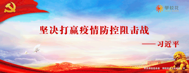 种植桑树的方法_桑树怎么种植技术_种植桑树技术要求