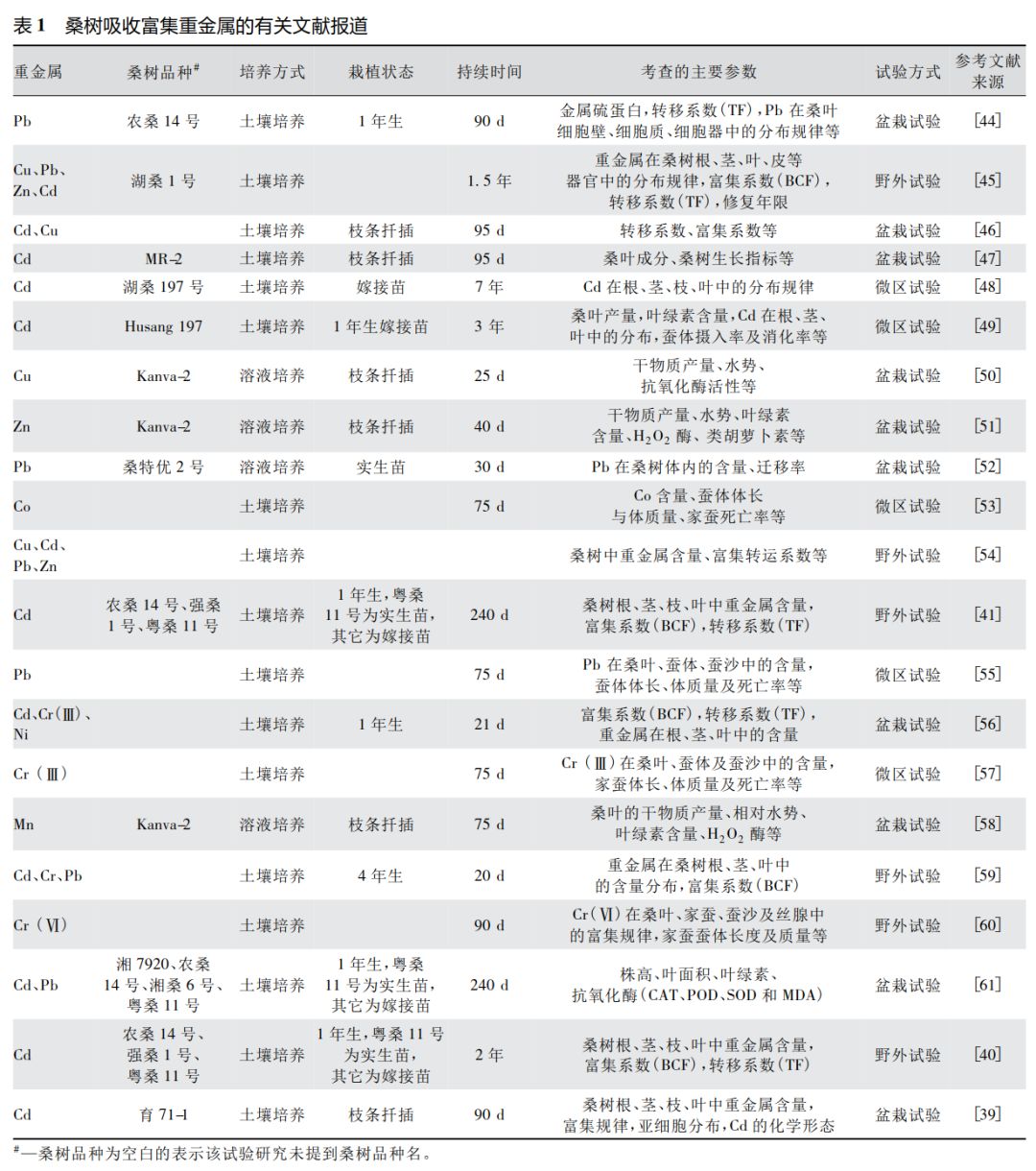 桑树怎么种植技术_种植桑树技术要求_种植桑树技术视频