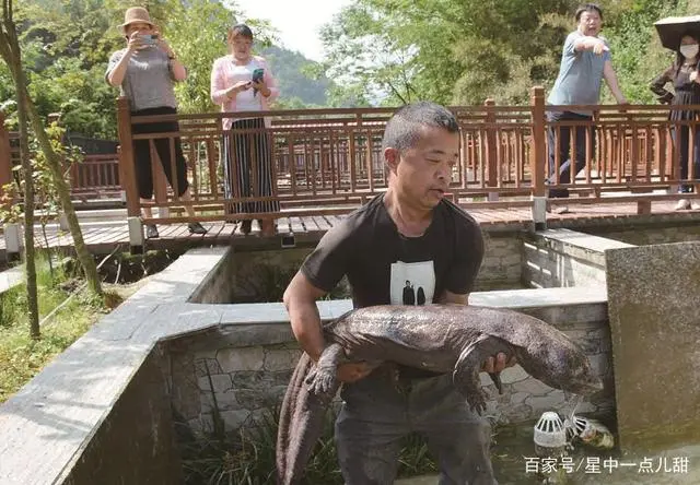 致富养殖视频_湖北养殖户_湖北女子养殖致富