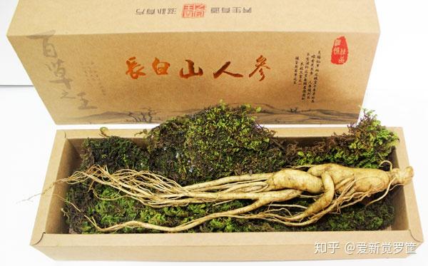 西洋参如何种植技术_西洋参种植技术视频_种植西洋参的功效与作用