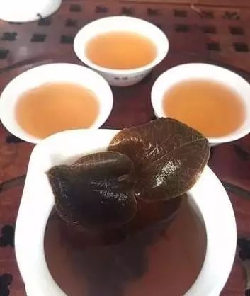青海致富枸杞种植大户是谁_青海枸杞种植基地_青海种植大枸杞致富经