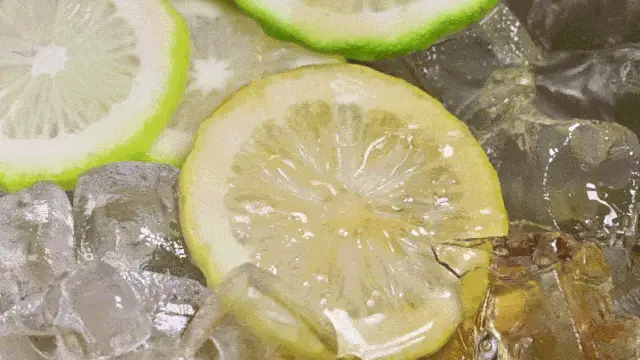 柠檬高产栽培技术_柠檬种植技术与管理视频_柠檬高产种植技术视频