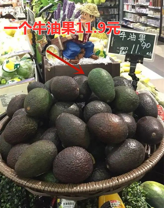 产量种植山竹技术指标_产量种植山竹技术要点_山竹种植技术及产量