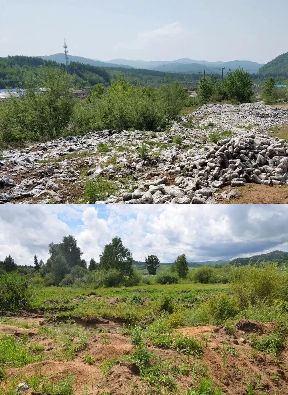 吉林种植致富_吉林种植什么药材好_吉林种植什么比较挣钱