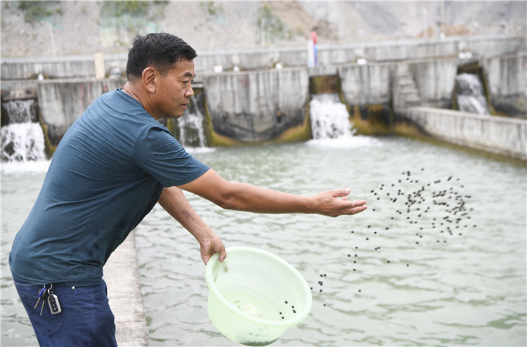 （图片故事）（9）蒋开均：冷水鱼养出重庆(3290926)-20190905103943_副本.jpg