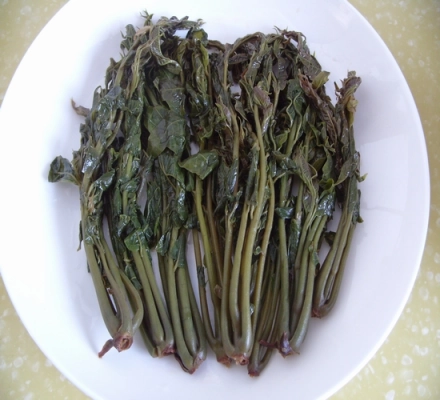 梅子苗种植技术_苗梅子种植技术与管理_梅子苗图片