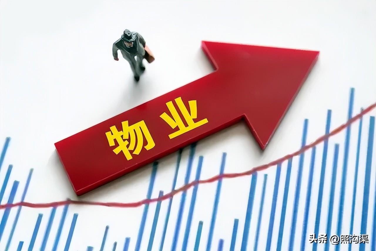 经验的问题_优质经验问题整改措施_优质问题及经验