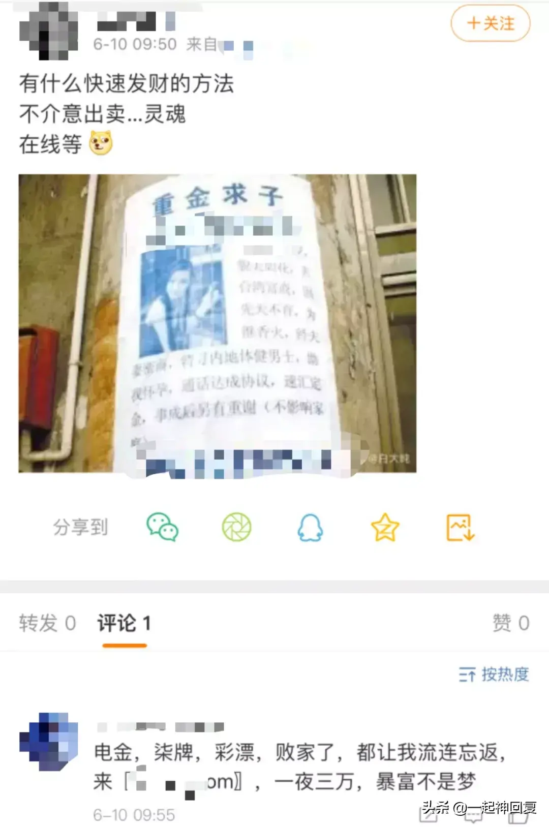 农村致富网_致富网官网_cctv7致富经致富网