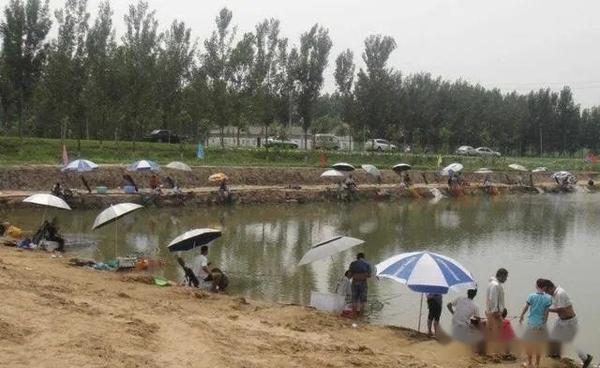 致富经有养水草的吗_有水草养什么鱼比较好_致富水草养有哪些品种