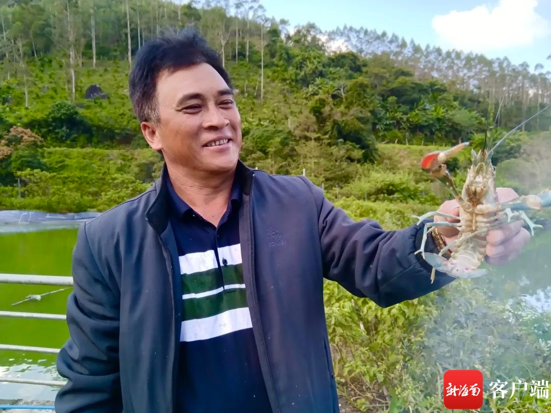 致富经澳洲淡水小龙虾_澳洲淡水龙虾骗局_科技苑澳洲淡水龙虾养殖技术