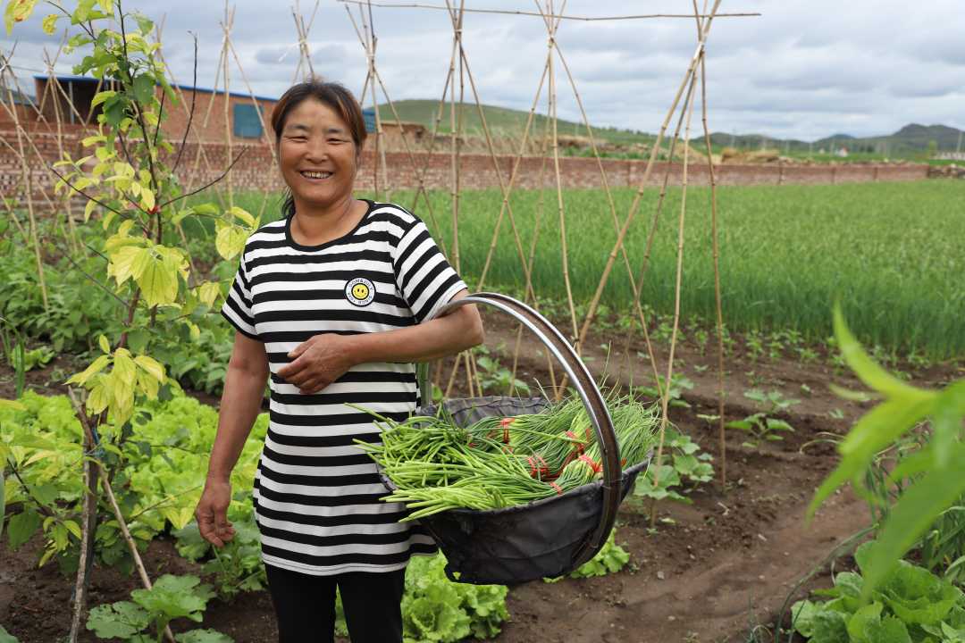 农民致富经蒜_千亩大蒜为群众致富_致富经大蒜种植视频