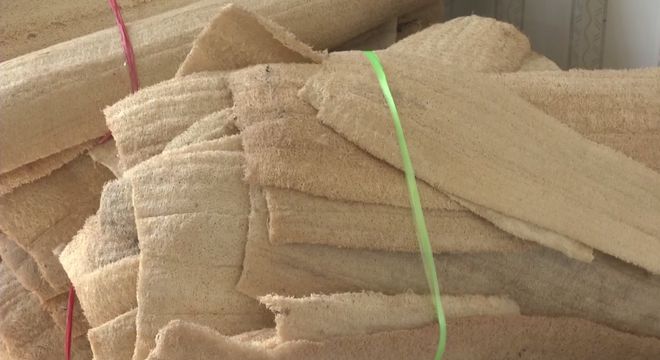 致富经2020年全集骨头_致富经收废骨头_致富经废骨头