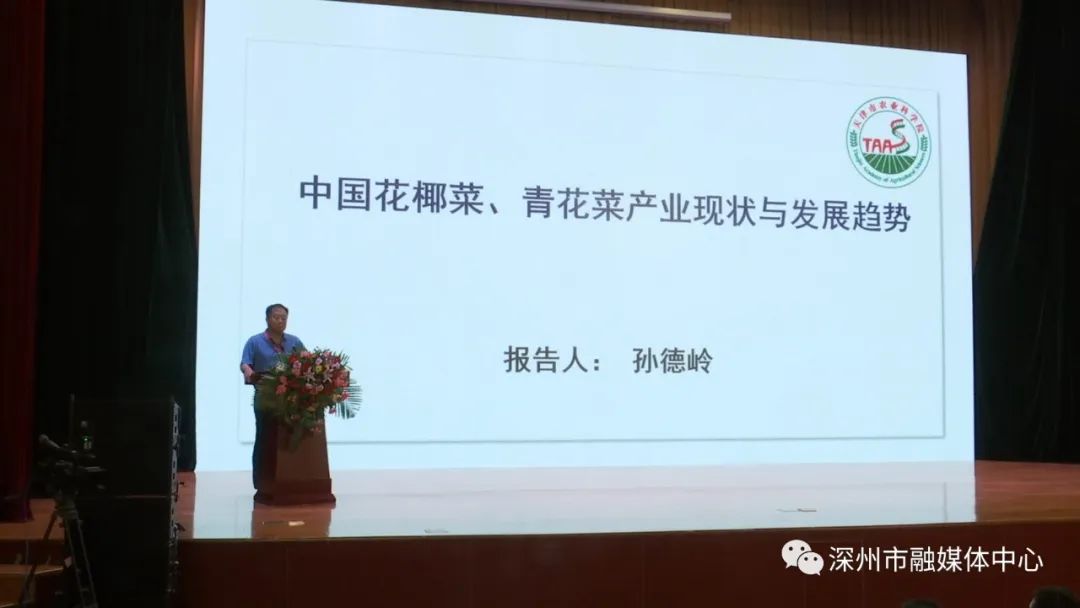 深州蜜桃种植技术_深州蜜桃树苗_蜜桃种植条件
