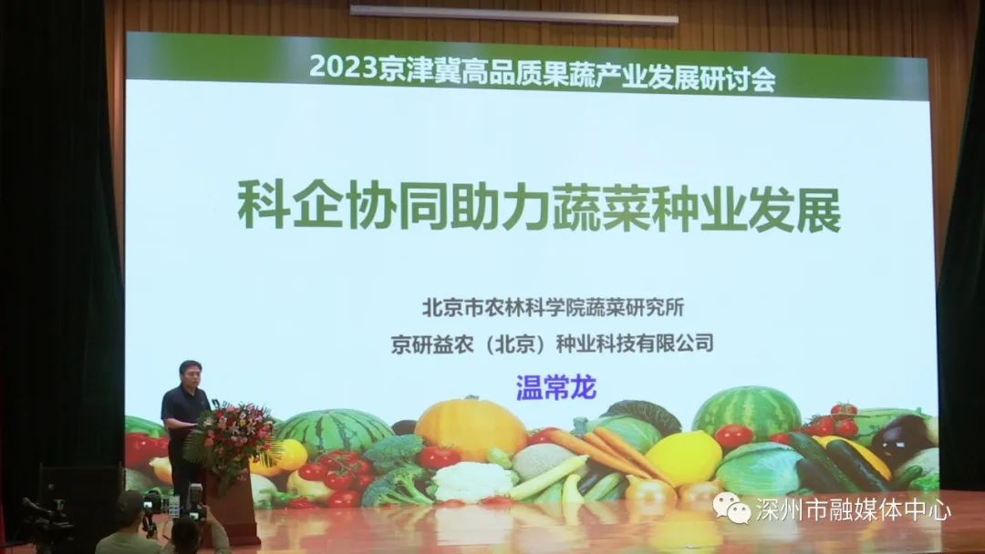 蜜桃种植条件_深州蜜桃树苗_深州蜜桃种植技术