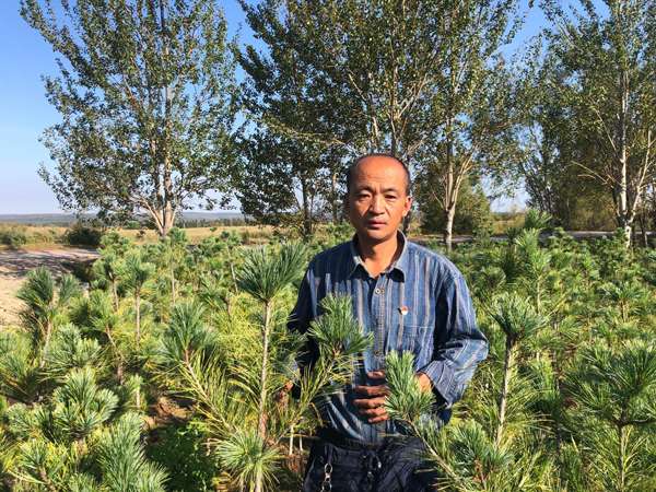 致富经扁桃种植_致富经种冬桃_2017年致富经种植桃子