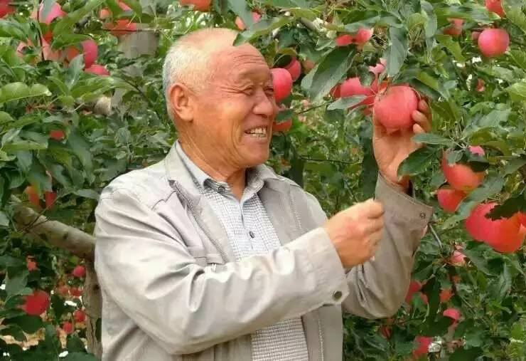 吴家庄村第一书记张福财