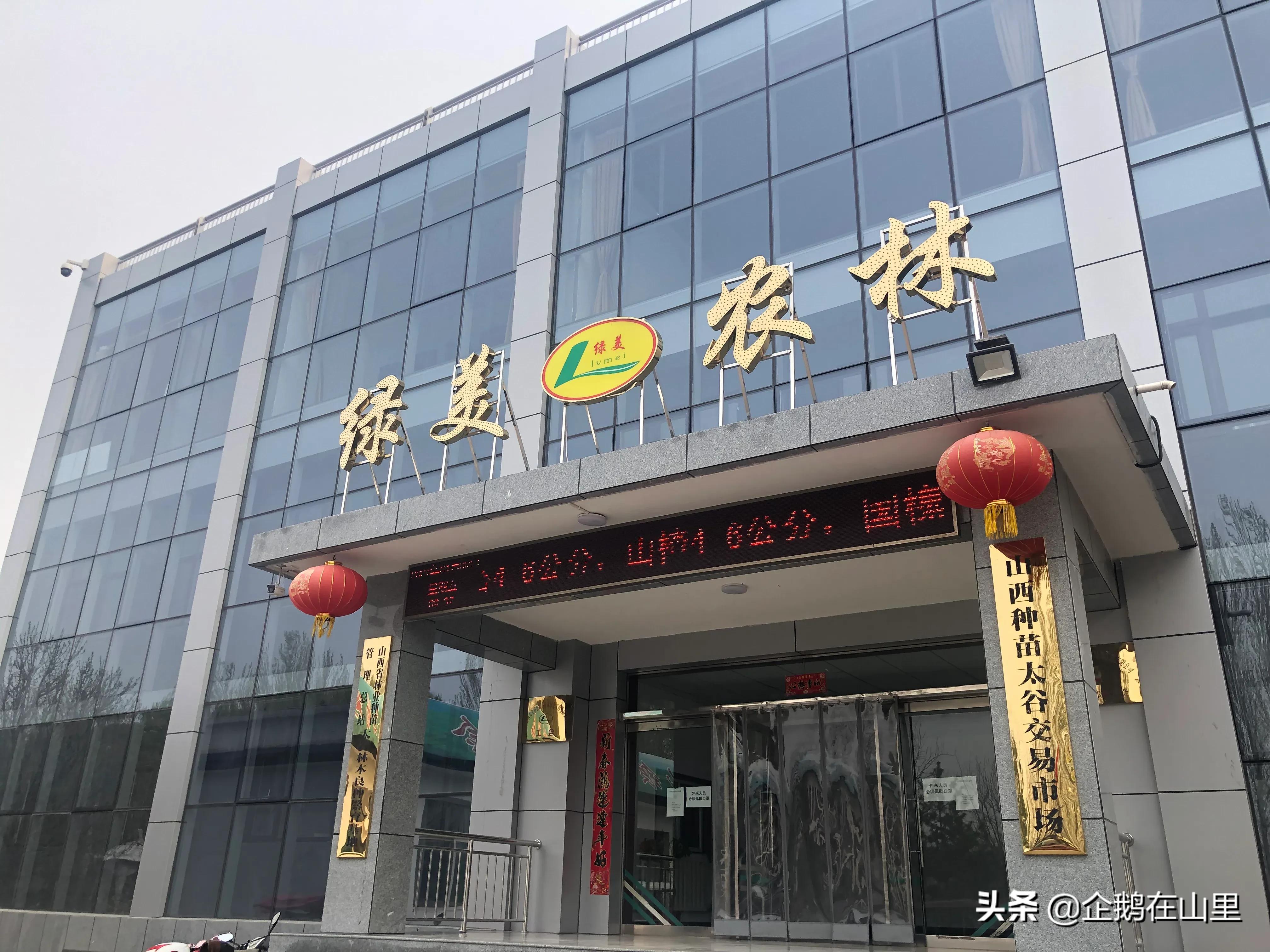 养殖白燕致富_致富养殖_保定獭兔养殖致富