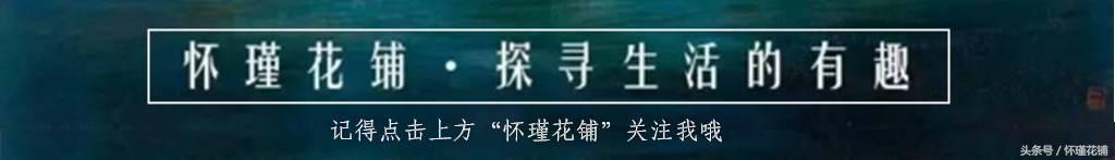 蘑菇视频种植技术与管理_蘑菇怎么种植技术视频_蘑菇视频种植技术要求