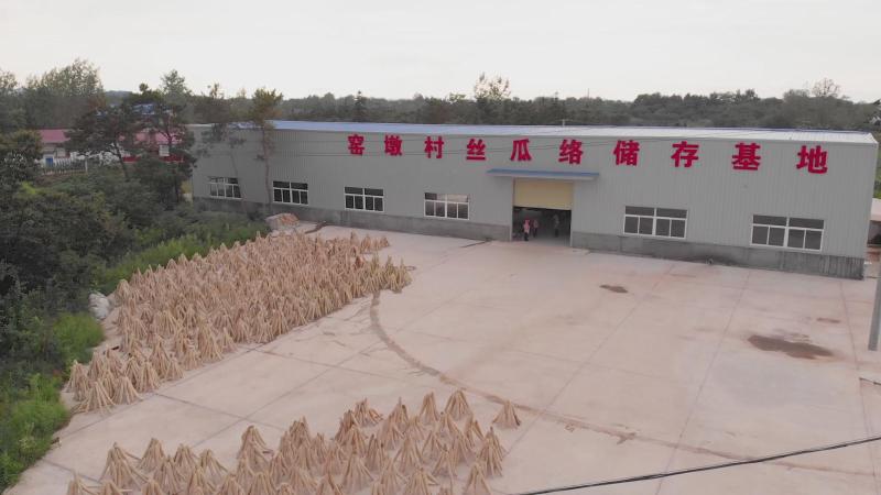 致富经丝瓜种植视频_致富经丝瓜水_长丝瓜歺厅致富经