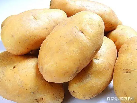 种植小妙招：种植出大土豆，需要这几个大步骤！