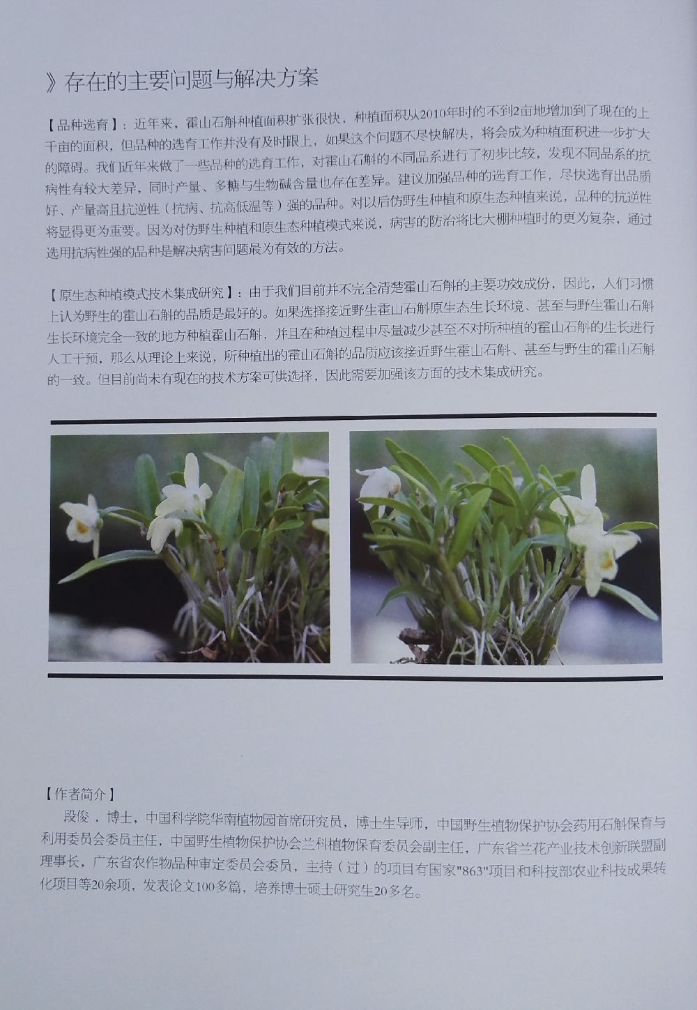 药材大棚种植技术要点_大棚药材种植技术_药材大棚种植技术要求