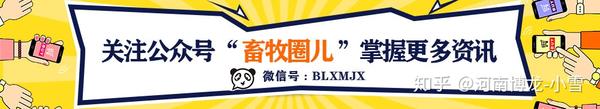 致富经用猪粪创造奇迹_致富经用猪粪创造奇迹_致富经用猪粪创造奇迹