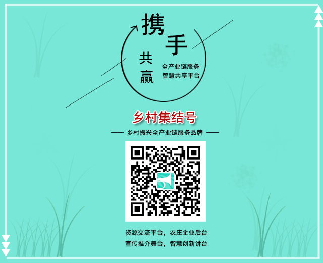 养殖致富案例_致富之路养殖业事例分析_养殖致富路有哪些项目