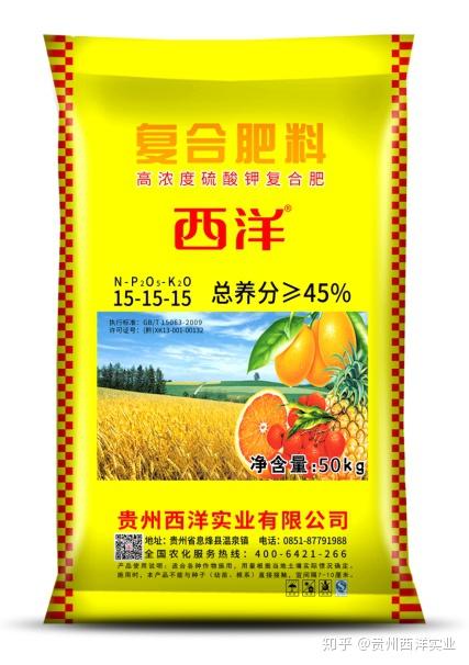 种植西洋蒜致富吗_致富蒜西洋种植视频_洋大蒜种植技术