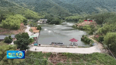 实干“百千万” 阳江在发力 | 阳西新墟：发展山泉生态鱼特色养殖 铺筑增收致富路
