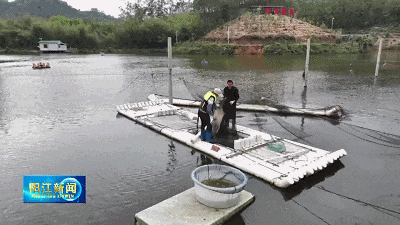 养殖致富广东_广东养殖户_致富养殖视频