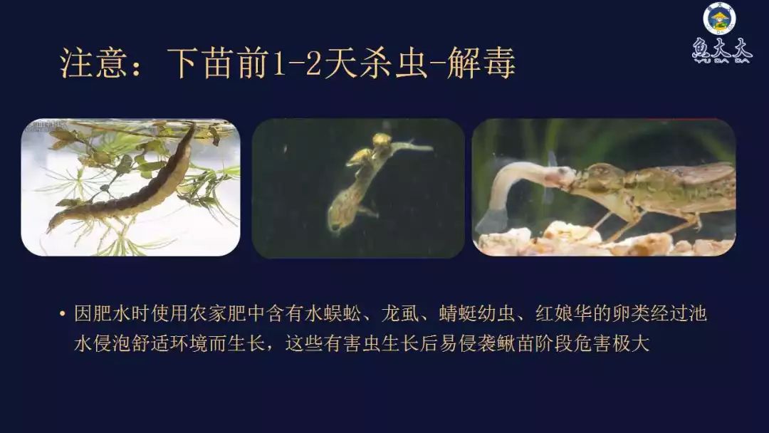 致富养殖泥鳅加盟模式怎么样_致富经泥鳅养殖_加盟泥鳅养殖致富模式