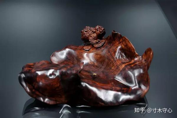 蟾蜍养殖致富案例_蟾蜍养殖致富案例_蟾蜍养殖致富案例