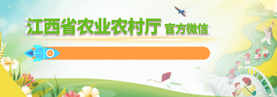 超实用！夏季水产养殖技术指引发布，赶紧收藏