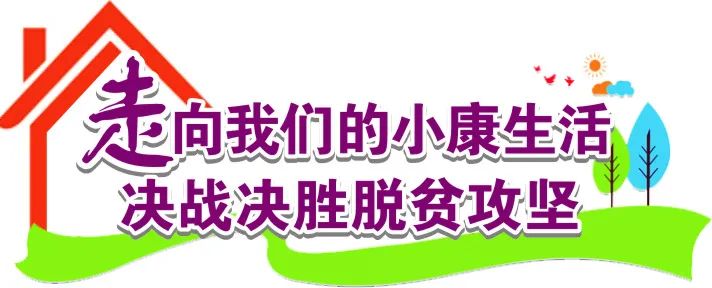 农业种植致富技术食用菌_致富种植农业食用菌技术有哪些_种植食用菌技术大全
