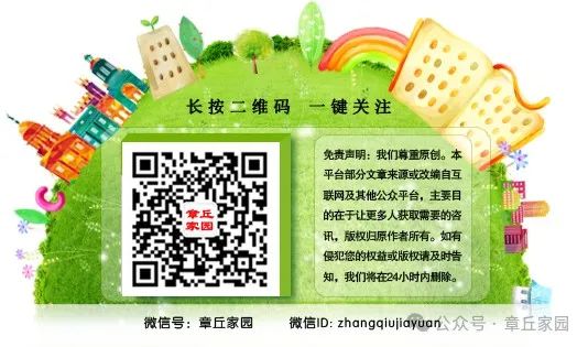 致富经莲藕种植视频_种植莲藕利润怎么样_致富经种莲藕