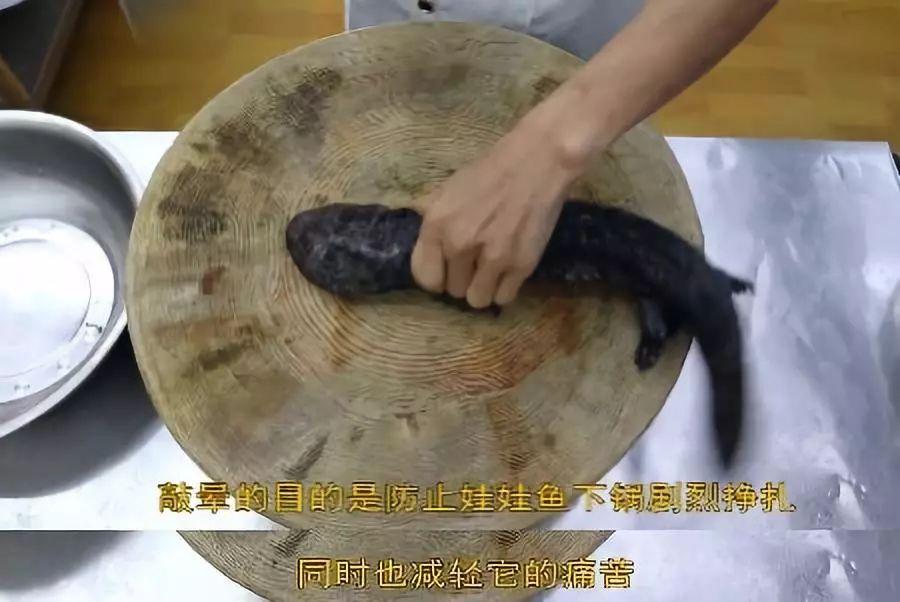 致富经娃娃鱼面条_面食娃娃鱼视频_娃娃鱼面条多少钱一斤
