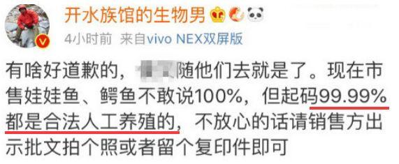 娃娃鱼面条多少钱一斤_面食娃娃鱼视频_致富经娃娃鱼面条