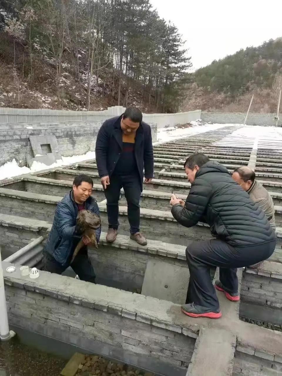 面食娃娃鱼的制作方法_致富经娃娃鱼面条_面娃娃鱼的一碗卖多少钱