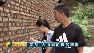核桃养殖创业致富_致富核桃养殖创业项目_致富核桃养殖创业项目介绍