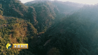 致富核桃养殖创业项目_致富核桃养殖创业项目介绍_核桃养殖创业致富