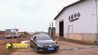 核桃养殖创业致富_致富核桃养殖创业项目介绍_致富核桃养殖创业项目
