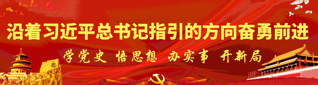 【乡村振兴】“抱团养牛”——期纳镇半坪村产业发展的“致富经”