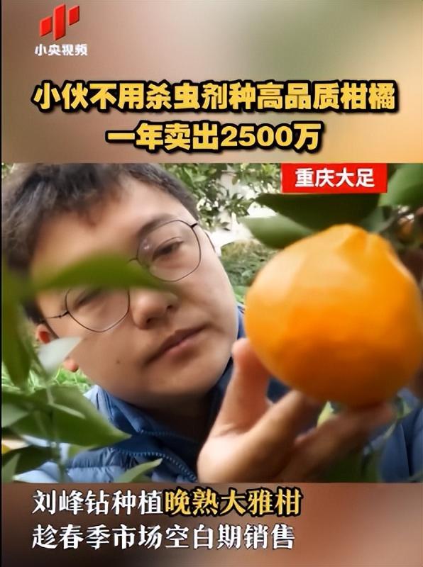 鸭子养殖致富经视频_致富经鸭子养殖视频_鸭子养殖场视频